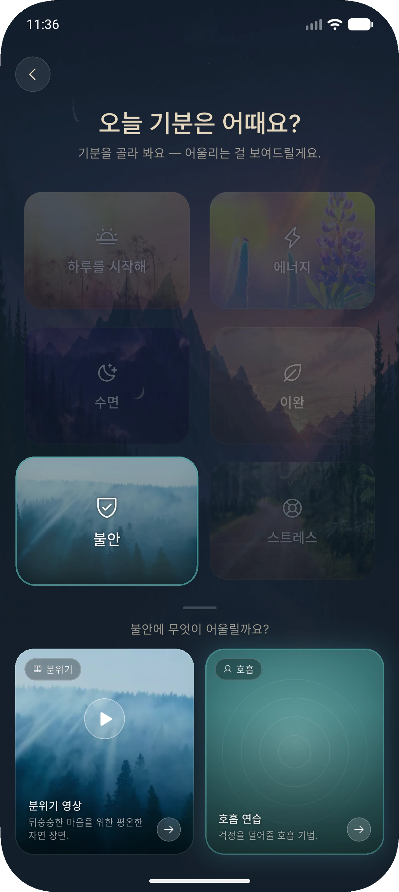 무드